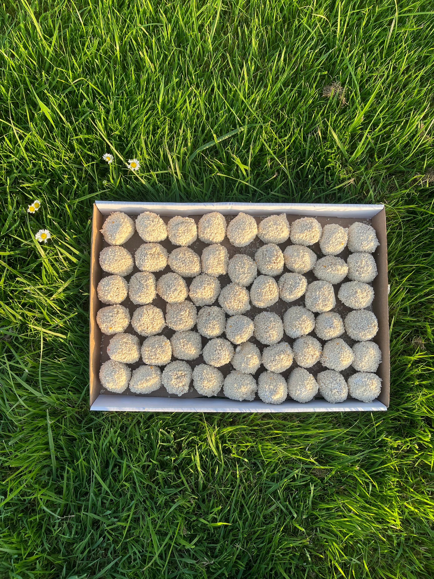 Red Voedselverspilling – 54 Bitterballen €15
