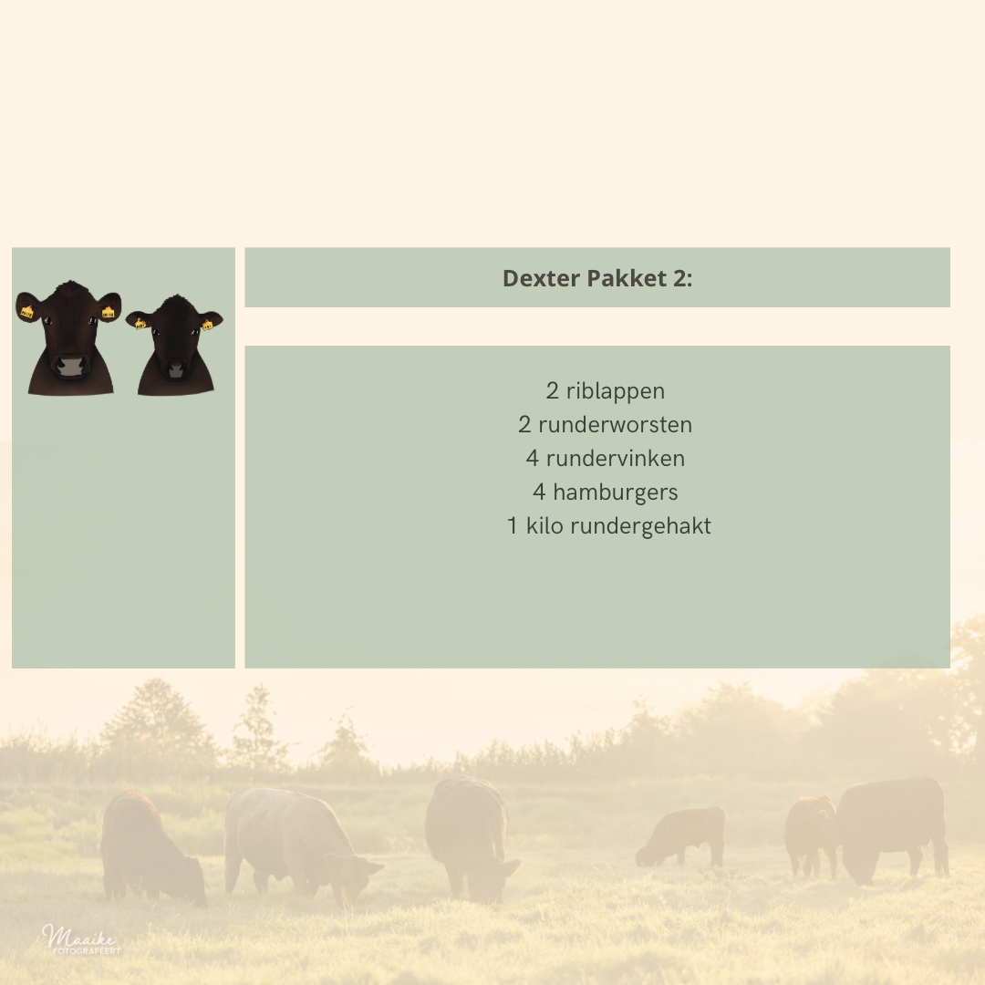 Dexter pakket 2