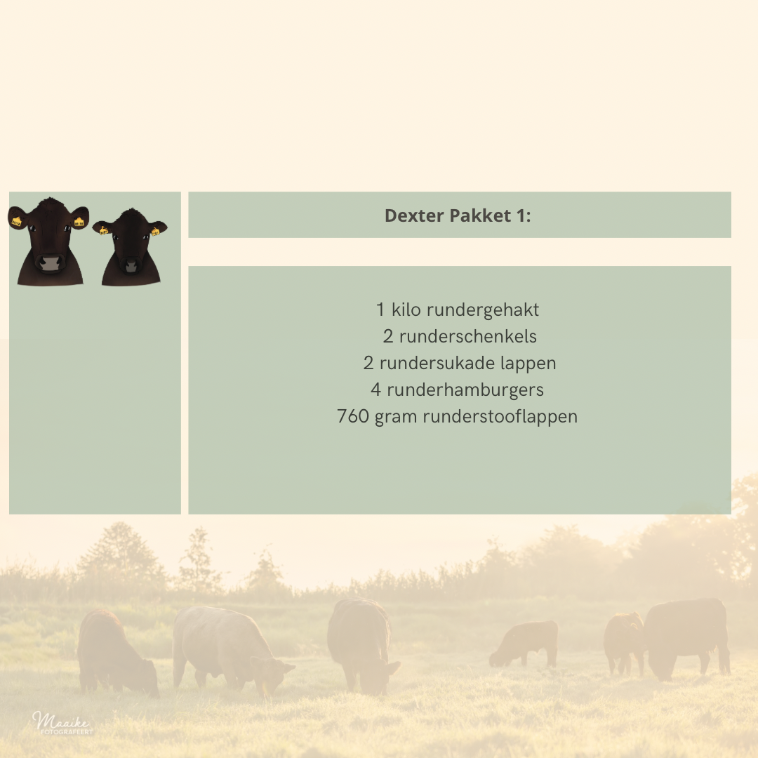 Dexter pakket 1