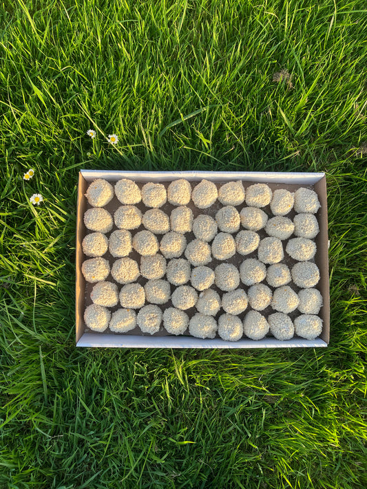 Red Voedselverspilling – 54 Bitterballen €15