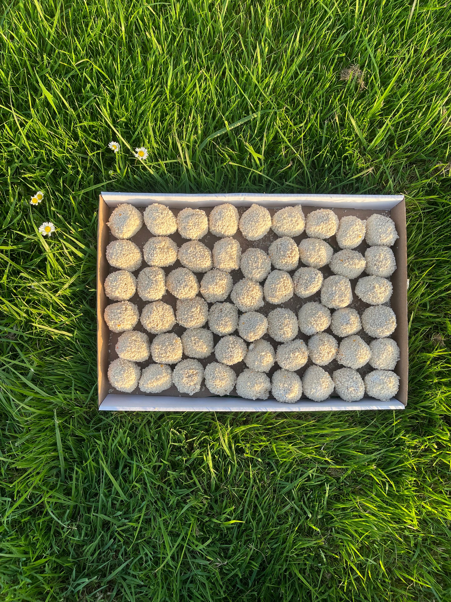 Dexter bitterballen- 54 stuks