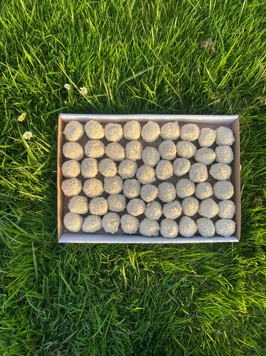 Dexter bitterballen- 54 stuks