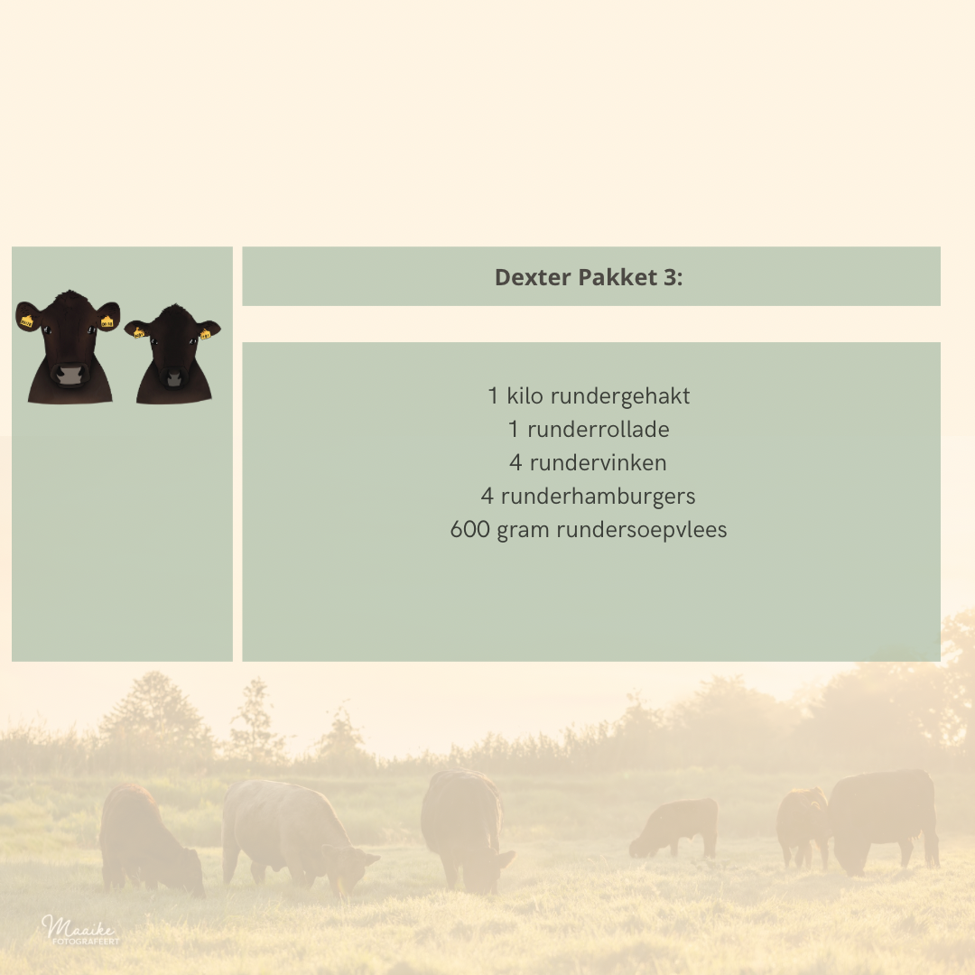 Dexter pakket 3